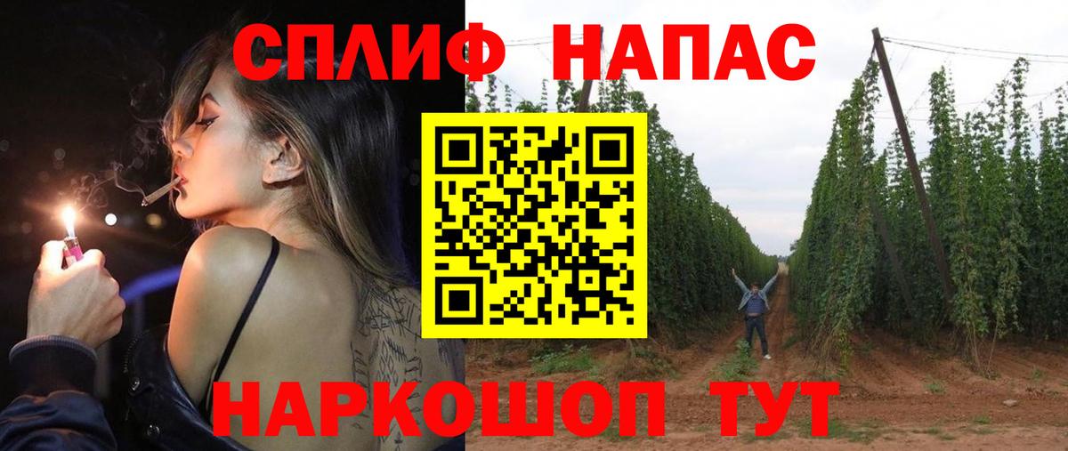 Кудрово  Каннабис планчик  Вход с VPN  Бошки Шишки AK-47  МАРИХУАНА планчик  Бошки Шишки OG Kush 